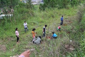 World Environment Day 2019 observed at NESAC