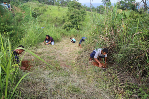 World Environment Day 2019 observed at NESAC